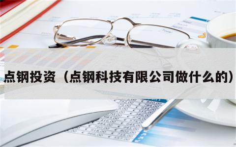 点钢投资（点钢科技有限公司做什么的）