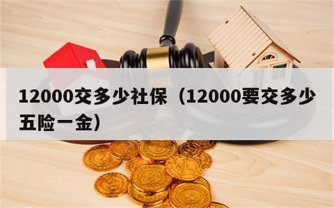 12000交多少社保（12000要交多少五险一金）