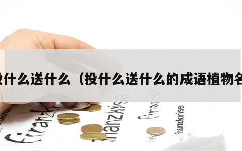 投什么送什么（投什么送什么的成语植物名）