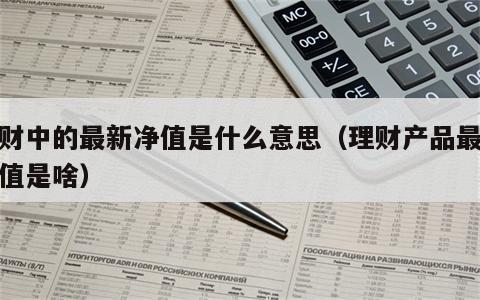 理财中的最新净值是什么意思（理财产品最新净值是啥）