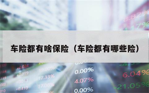车险都有啥保险（车险都有哪些险）