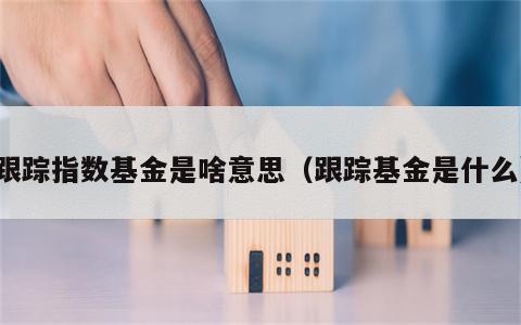 跟踪指数基金是啥意思（跟踪基金是什么）