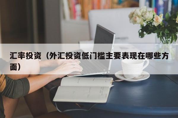 汇率投资（外汇投资低门槛主要表现在哪些方面）