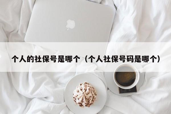 个人的社保号是哪个（个人社保号码是哪个）