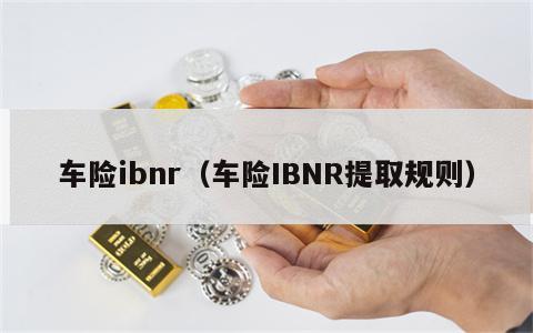 车险ibnr（车险IBNR提取规则）