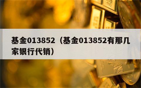 基金013852（基金013852有那几家银行代销）
