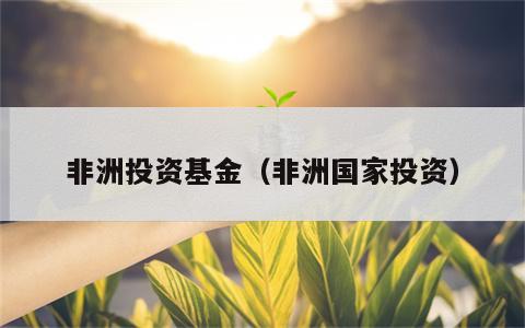 非洲投资基金（非洲国家投资）