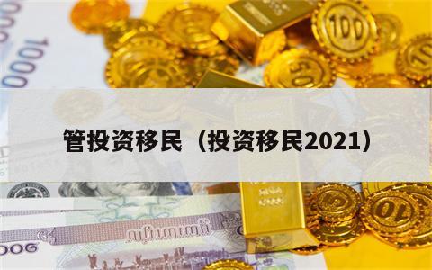 管投资移民（投资移民2021）