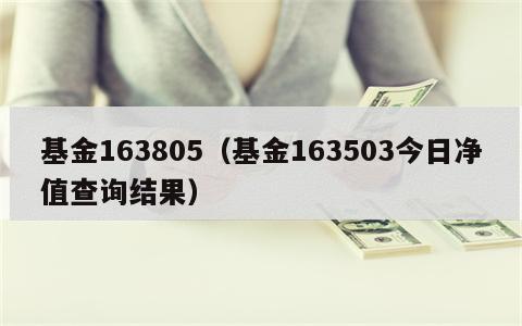 基金163805（基金163503今日净值查询结果）