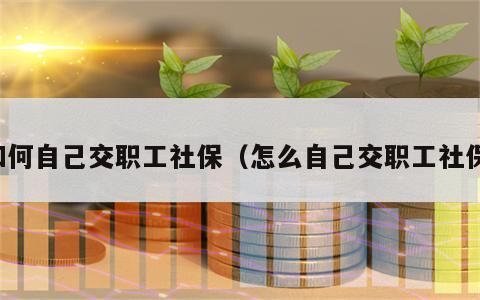 如何自己交职工社保（怎么自己交职工社保）