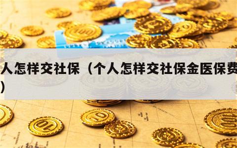 个人怎样交社保（个人怎样交社保金医保费用呢）