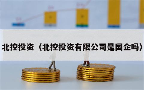 北控投资（北控投资有限公司是国企吗）