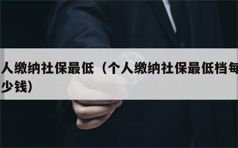 个人缴纳社保最低（个人缴纳社保最低档每月多少钱）