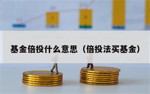 基金倍投什么意思（倍投法买基金）