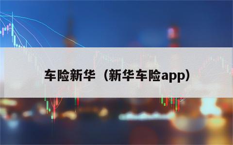 车险新华（新华车险app）