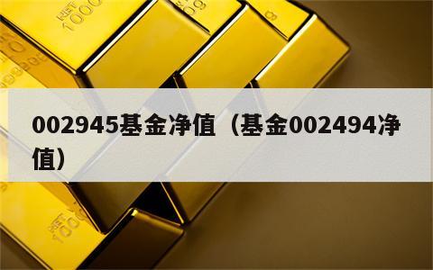 002945基金净值（基金002494净值）