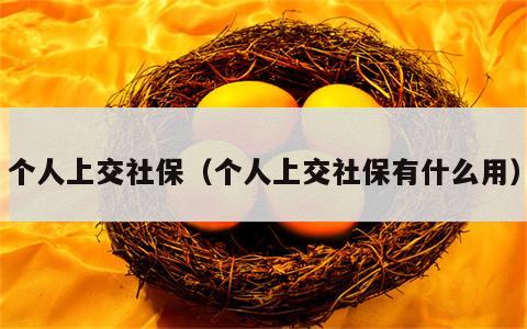 个人上交社保（个人上交社保有什么用）