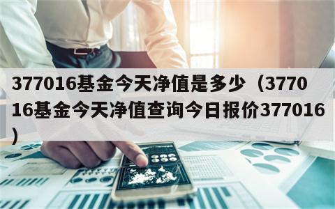 377016基金今天净值是多少（377016基金今天净值查询今日报价377016）