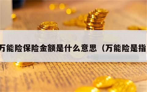 万能险保险金额是什么意思（万能险是指）