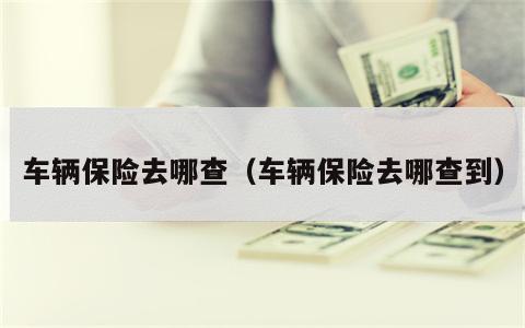 车辆保险去哪查（车辆保险去哪查到）