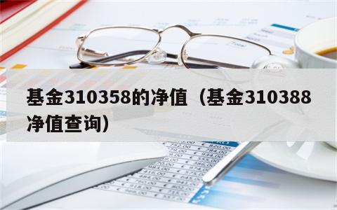 基金310358的净值（基金310388净值查询）