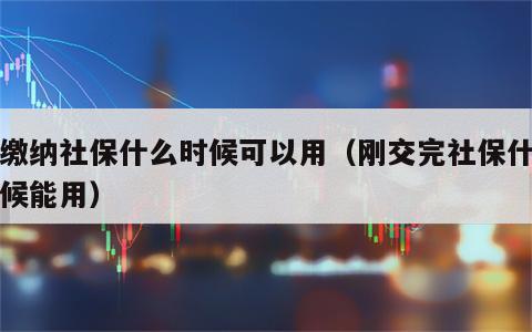 刚缴纳社保什么时候可以用（刚交完社保什么时候能用）