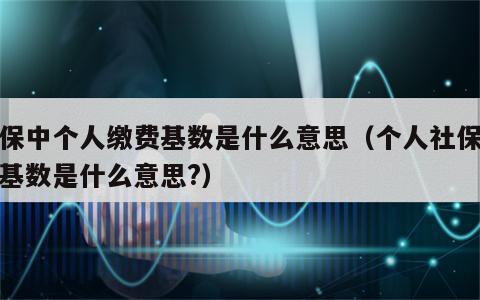 社保中个人缴费基数是什么意思（个人社保缴费基数是什么意思?）