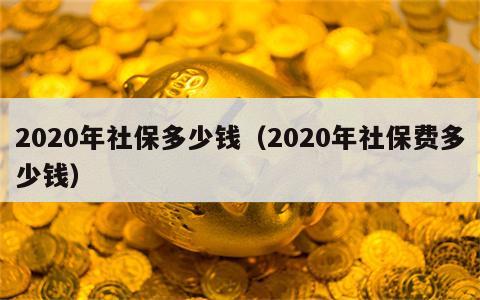 2020年社保多少钱（2020年社保费多少钱）