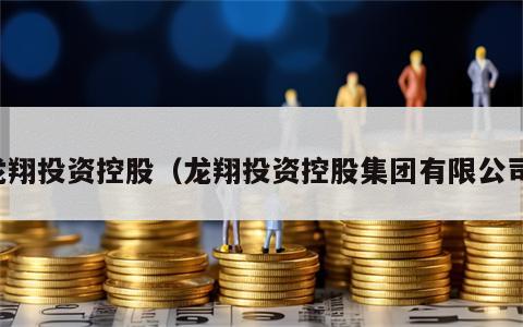 龙翔投资控股（龙翔投资控股集团有限公司）