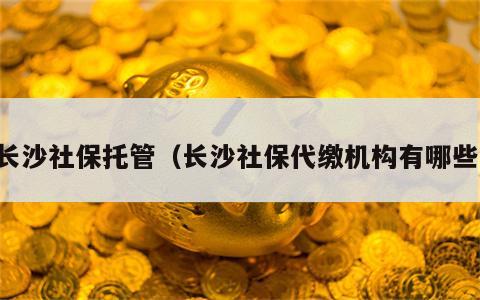 长沙社保托管（长沙社保代缴机构有哪些）