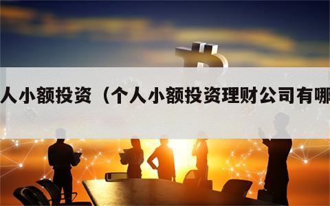 个人小额投资（个人小额投资理财公司有哪些）