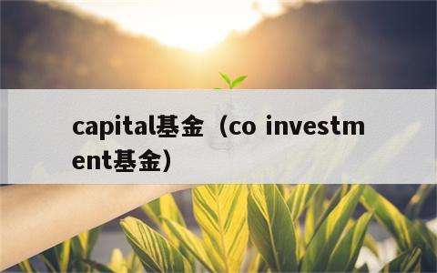 capital基金（co investment基金）