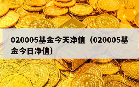 020005基金今天净值（020005基金今日净值）