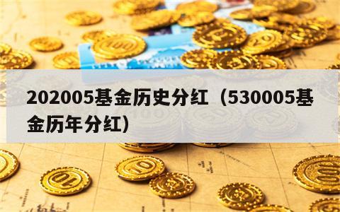 202005基金历史分红（530005基金历年分红）