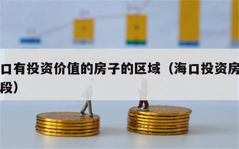 海口有投资价值的房子的区域（海口投资房子地段）