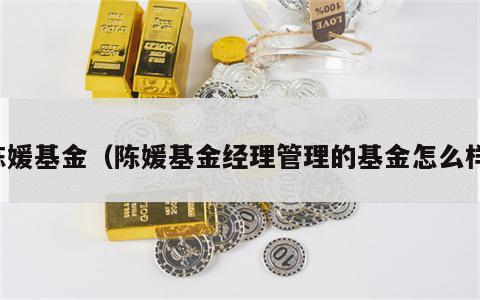 陈媛基金（陈媛基金经理管理的基金怎么样）