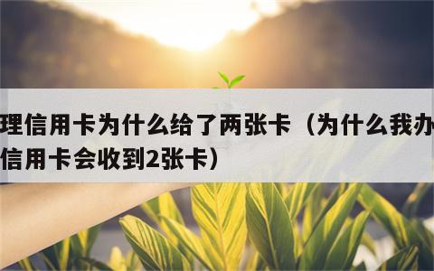 办理信用卡为什么给了两张卡（为什么我办一张信用卡会收到2张卡）