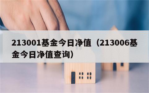 213001基金今日净值（213006基金今日净值查询）