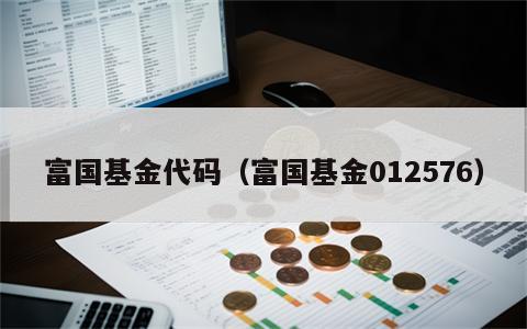 富国基金代码（富国基金012576）