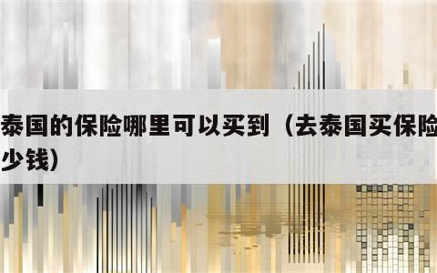 去泰国的保险哪里可以买到（去泰国买保险要多少钱）