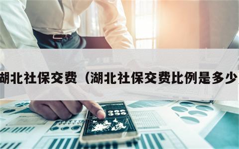 湖北社保交费（湖北社保交费比例是多少）