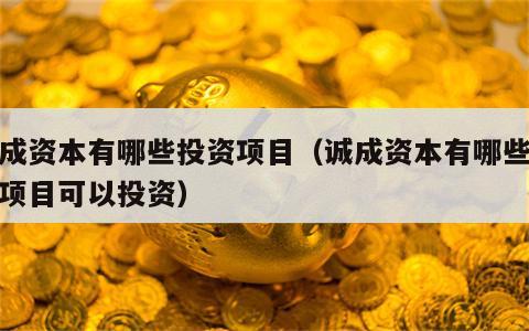 诚成资本有哪些投资项目（诚成资本有哪些投资项目可以投资）