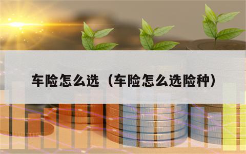 车险怎么选（车险怎么选险种）