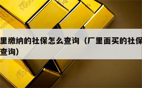厂里缴纳的社保怎么查询（厂里面买的社保怎么查询）