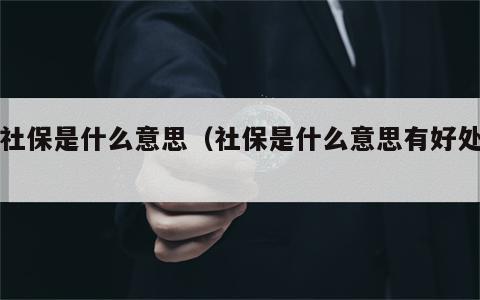 大社保是什么意思（社保是什么意思有好处吗）