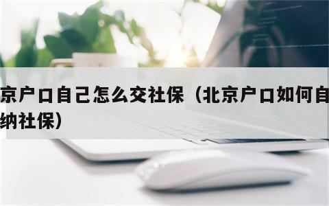 北京户口自己怎么交社保（北京户口如何自己缴纳社保）