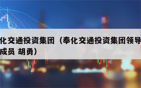 奉化交通投资集团（奉化交通投资集团领导班子成员 胡勇）