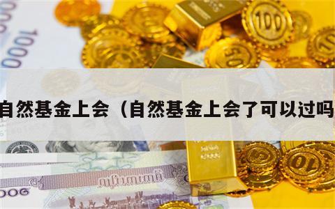 自然基金上会（自然基金上会了可以过吗）