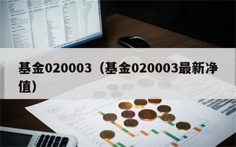 基金020003（基金020003最新净值）