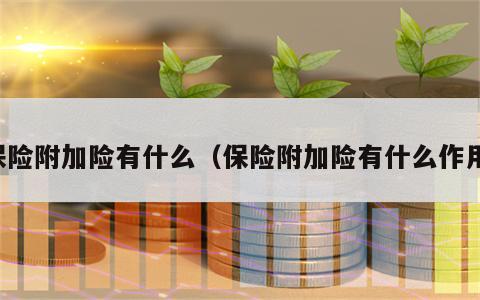 保险附加险有什么（保险附加险有什么作用）